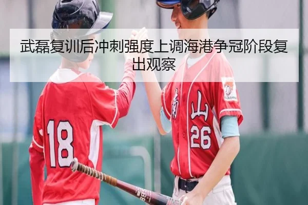 武磊复训后冲刺强度上调海港争冠阶段复出观察 - LeBoSports